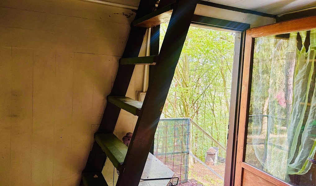 Prodej chaty/chalupy 32 m² s pozemkem 16 m², Doubravník – náhled fotky 16