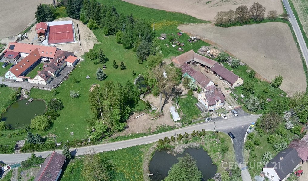 Prodej louky 1 146 m², Neustupov – náhled fotky 8