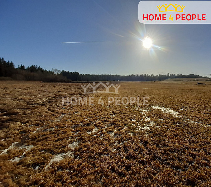 Prodej louky 9 804 m² — photo 3