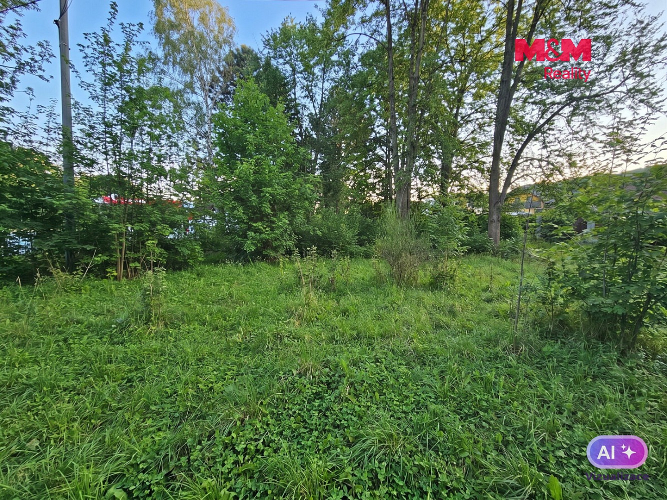 Prodej pole 1 439 m² – fotografie 3
