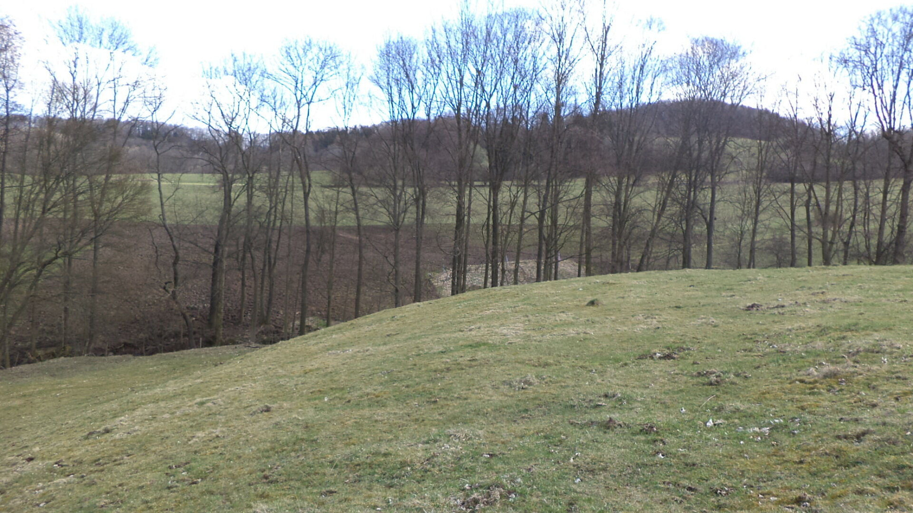 Prodej pole 4 633 m² – fotografie 4