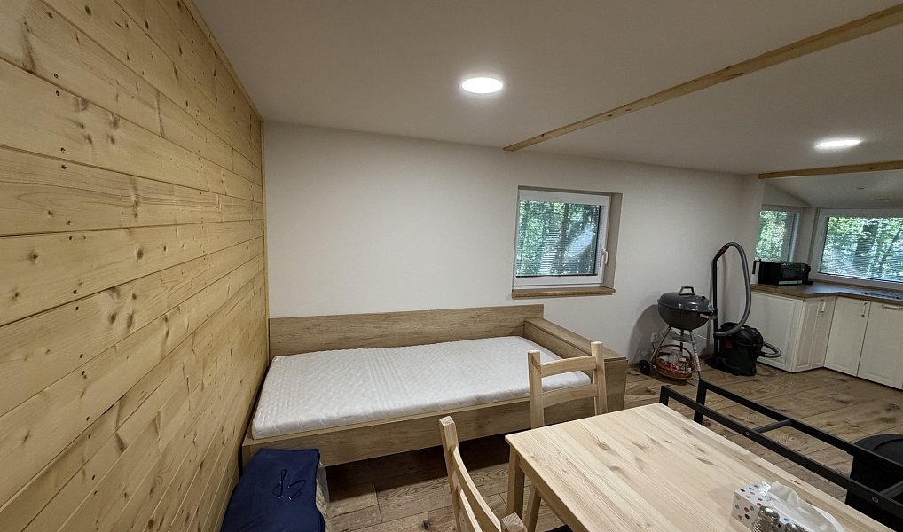 Prodej chaty/chalupy 33 m² s pozemkem 33 m², Brno – náhled fotky 58