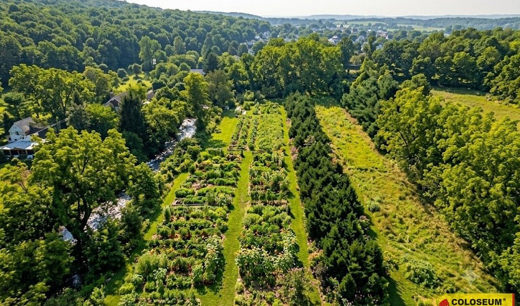 Prodej pole 5 202 m², Znojmo – náhled fotky 4