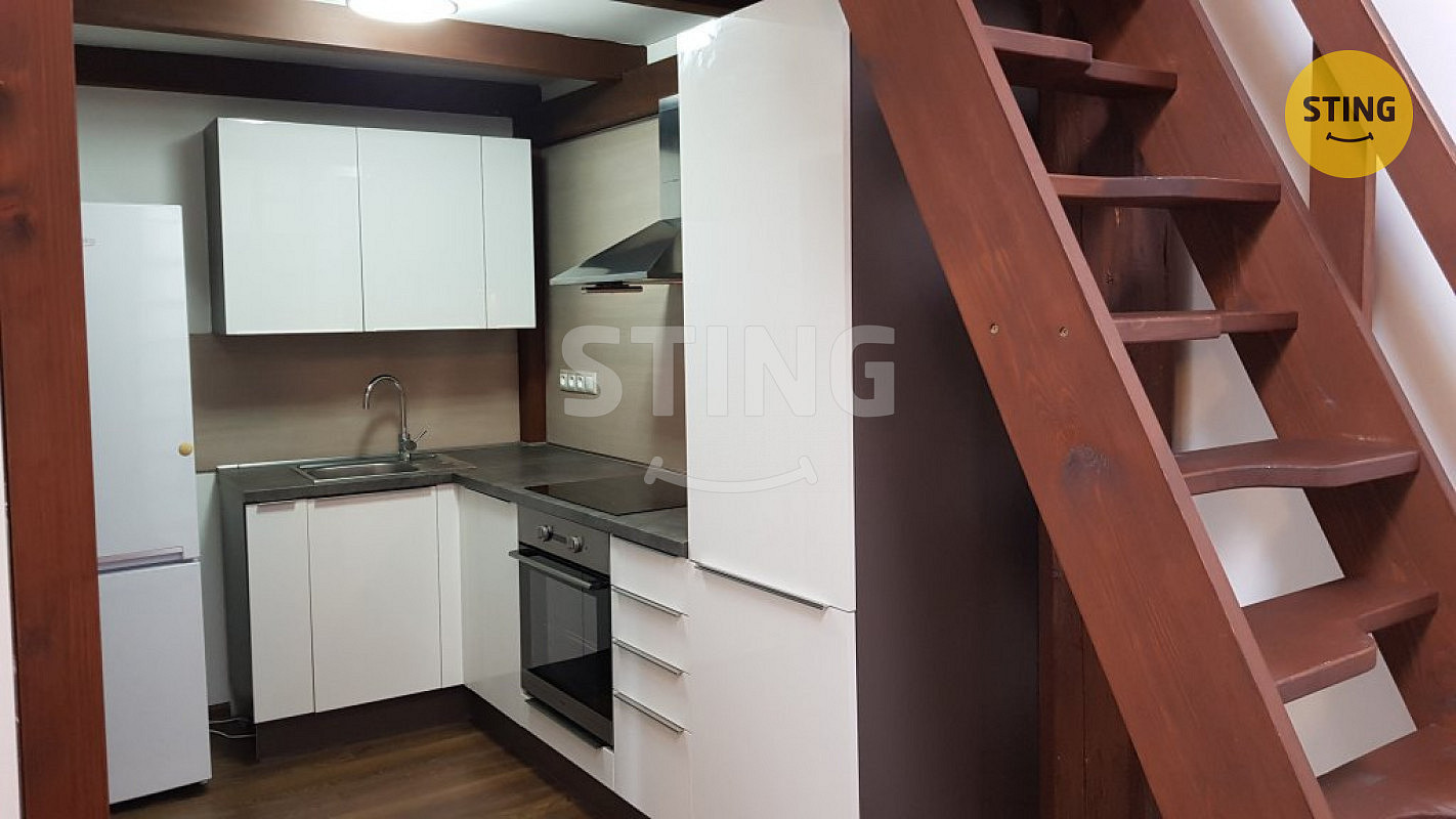 Pronájem bytu 1+kk 40 m² — photo 4