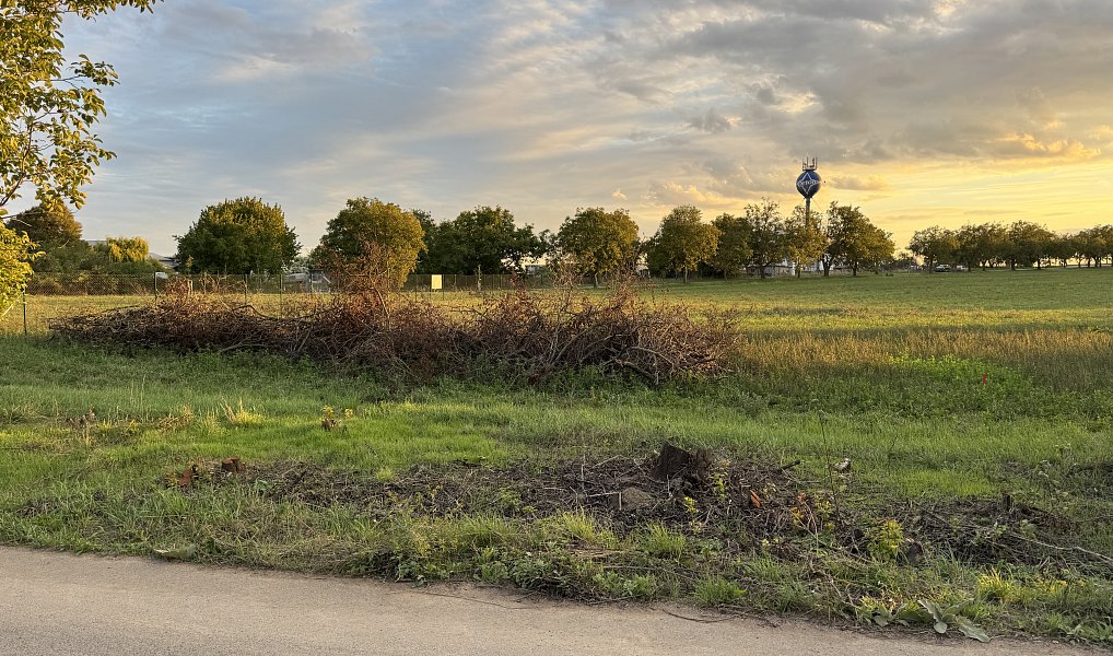 Prodej stavebního pozemku 4 598 m², Rajhrad – náhled fotky 5
