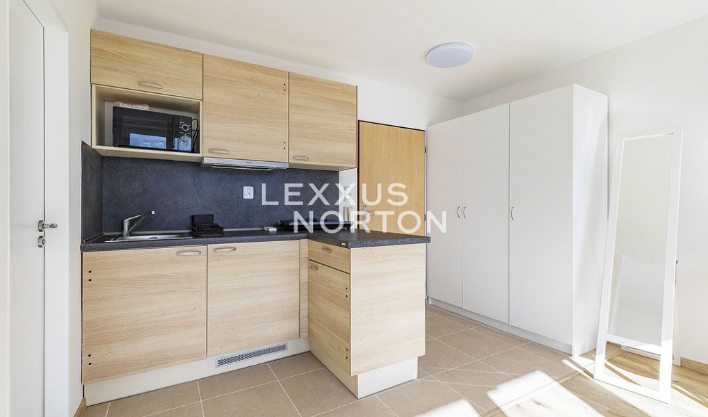 Pronájem bytu 1+kk 35 m², Praha – náhled fotky 5