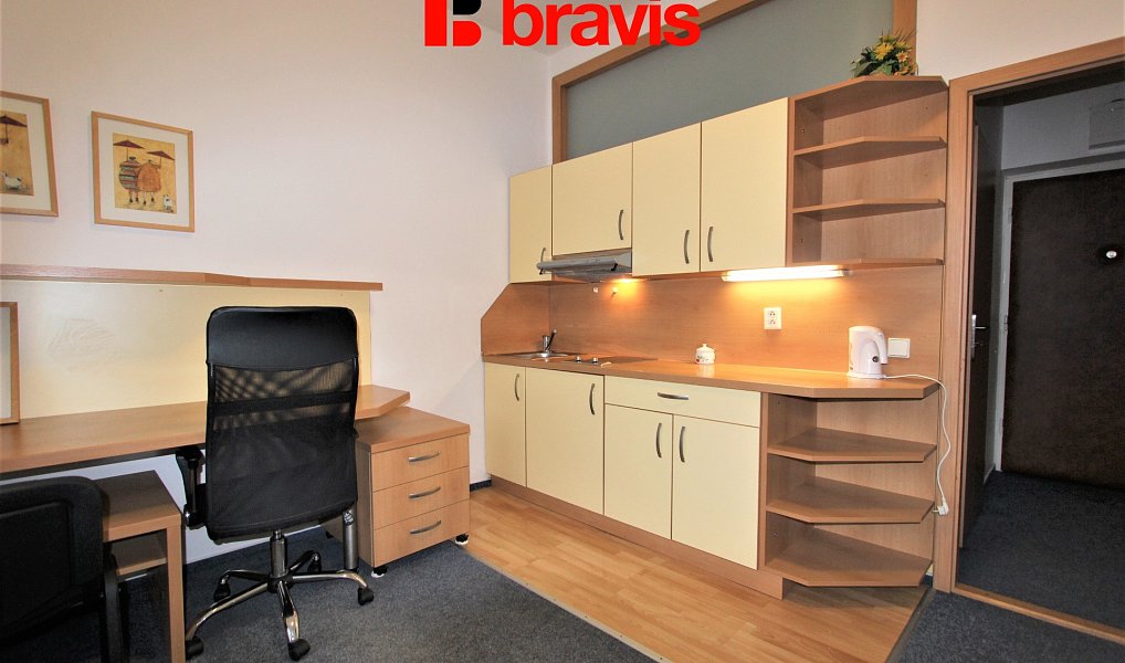 Pronájem bytu 1+kk, 23 m², Veveří - Brno-město, Brno