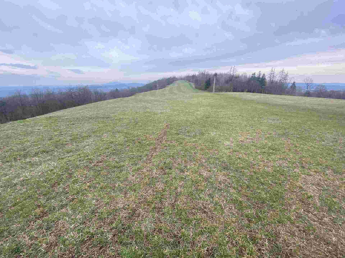 Prodej pole 14 714 m²