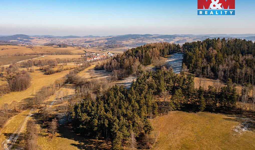 Prodej lesa 14 147 m², Nišovice – náhled fotky 2