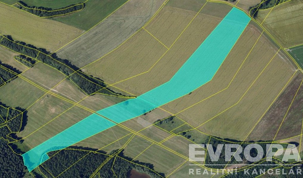 Prodej pozemku, 65443 m², Havlíčkův Brod, Krucemburk