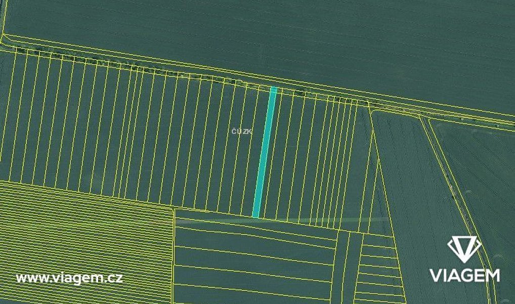 Prodej pole 648 m², Blučina – náhled fotky 3