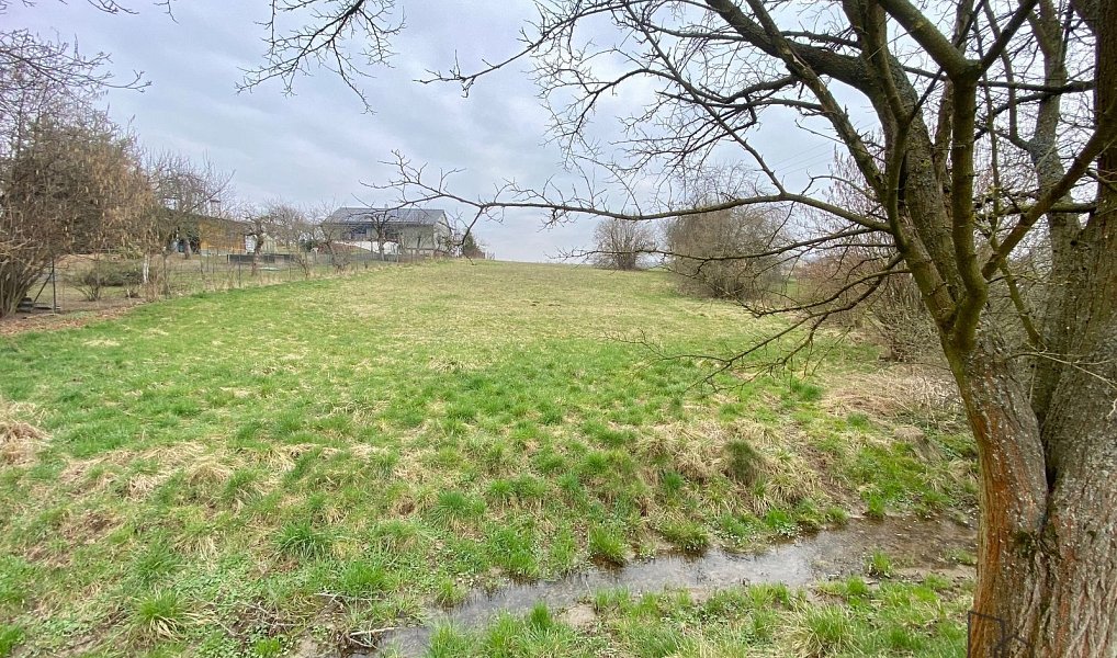 Prodej stavebního pozemku 2 341 m², Tršice – náhled fotky 9