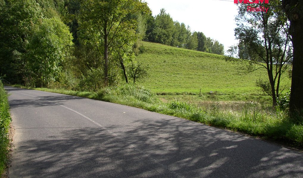 Prodej louky 2 749 m², Janův Důl – náhled fotky 6