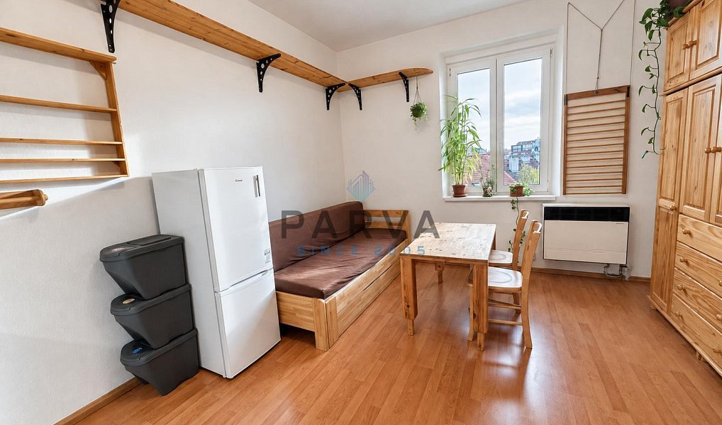 Pronájem bytu 1+kk 26 m², Plzeň – náhled fotky 2