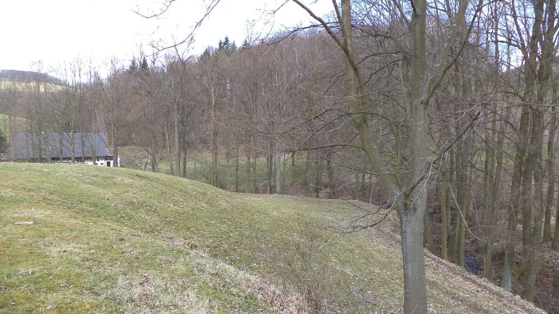 Prodej pole 4 633 m² – fotografie 3