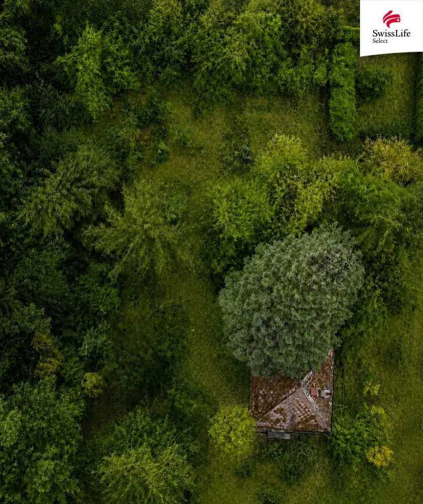 Prodej stavebního pozemku 1 165 m² – fotografie 5