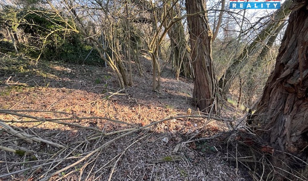 Prodej stavebního pozemku 3 136 m², Škvorec – náhled fotky 5