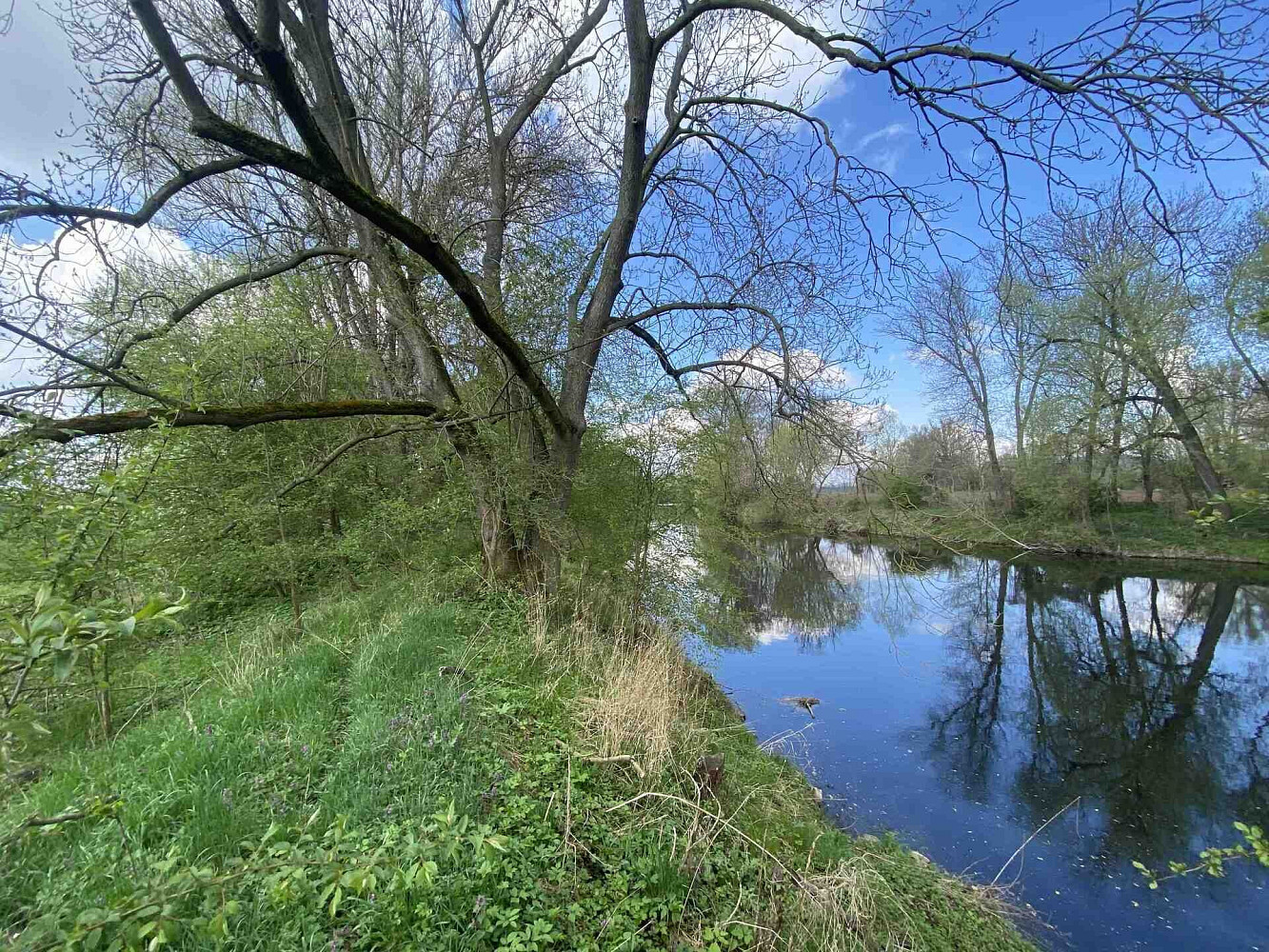 Prodej pozemku 621 m² – fotografie 3