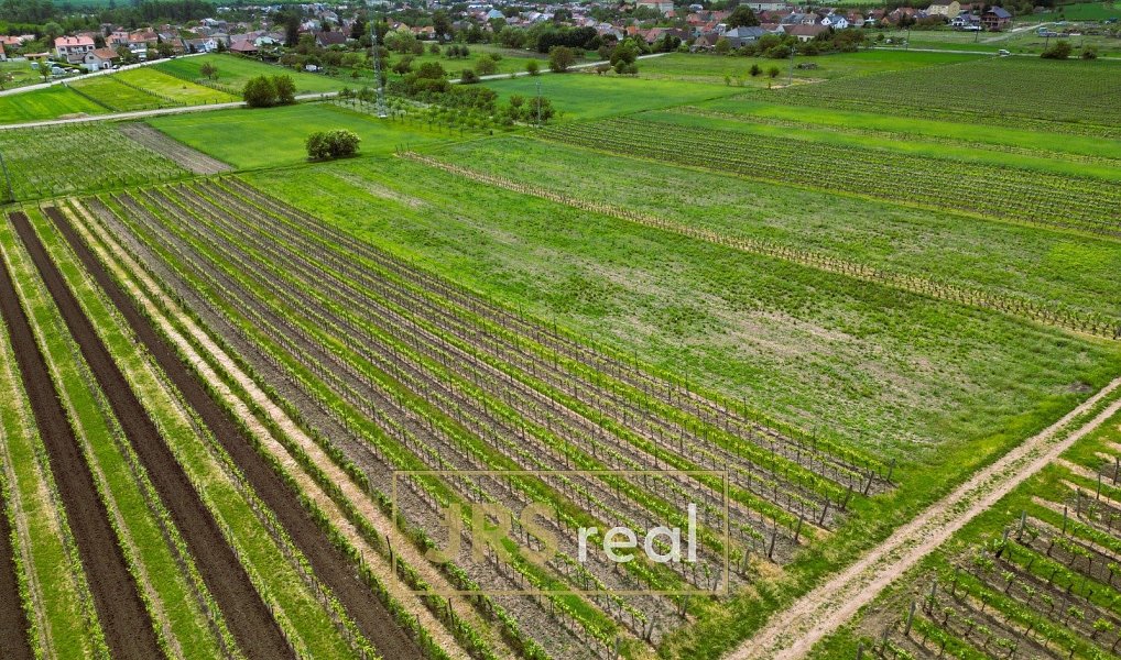 Prodej pole 3 474 m², Březí – náhled fotky 5