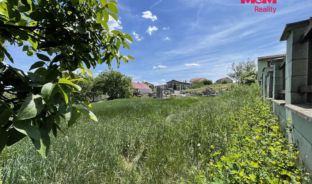 Prodej stavebního pozemku 7 245 m², Holubice – náhled fotky 5