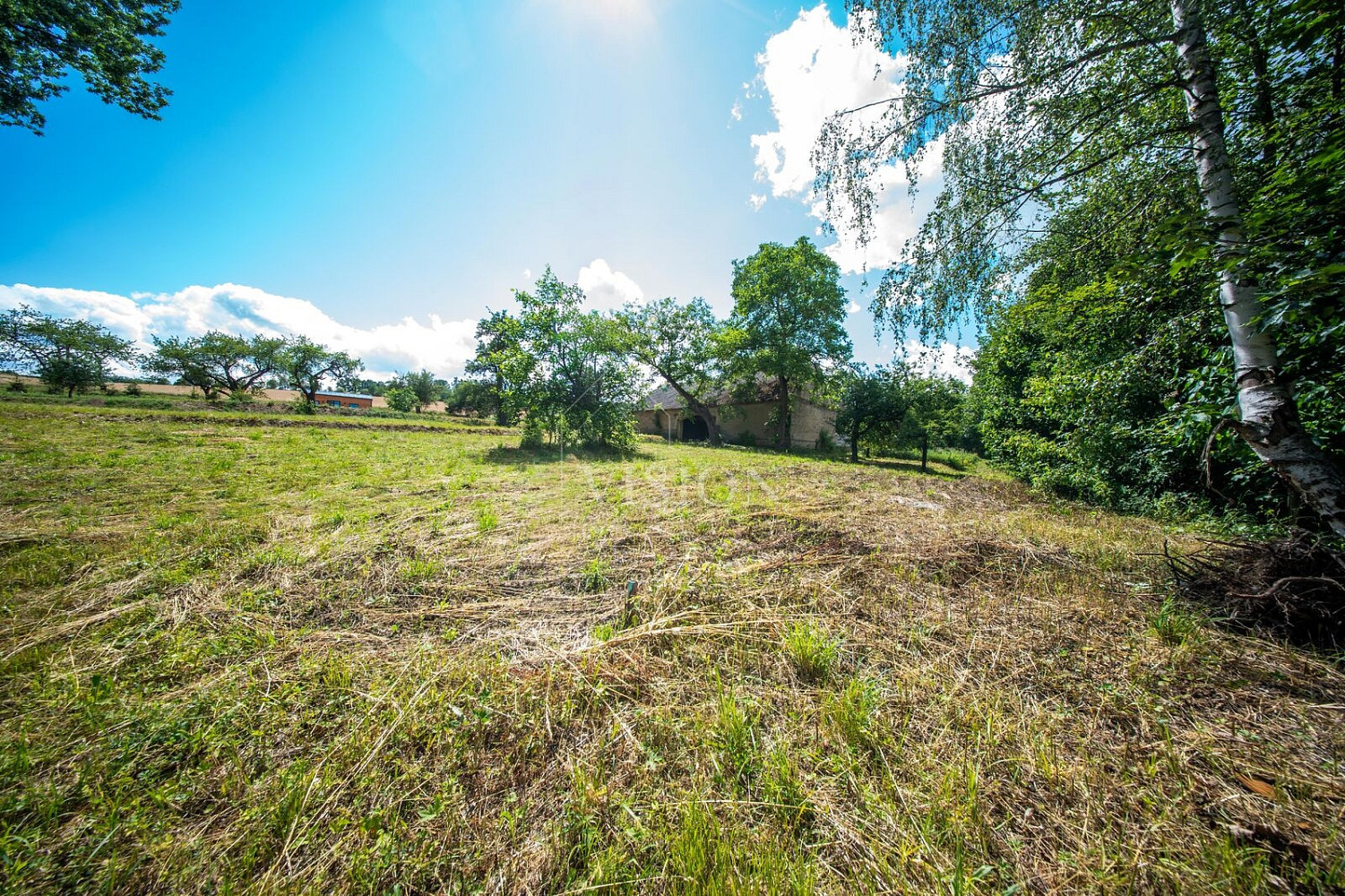 Prodej stavebního pozemku 1 490 m² — photo 4
