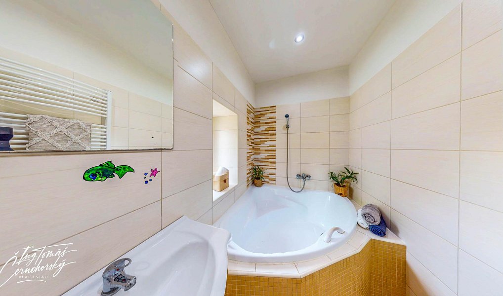 Prodej domu 171 m² s pozemkem 1 155 m², Podlešín – náhled fotky 35