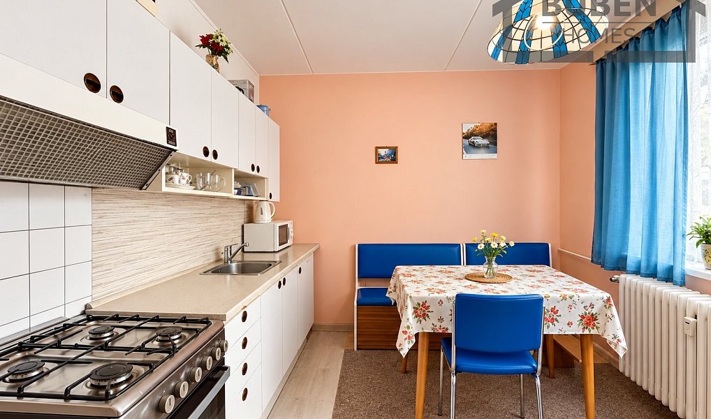 Prodej bytu 1+1 41 m², Tachov – náhled fotky 6