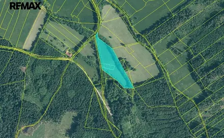 Prodej louky 14 292 m², Strašín, okres Klatovy