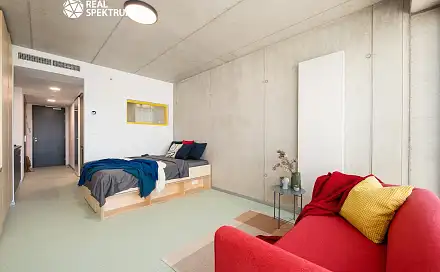 Pronájem bytu 1+kk 27 m², Dornych, Brno - Trnitá