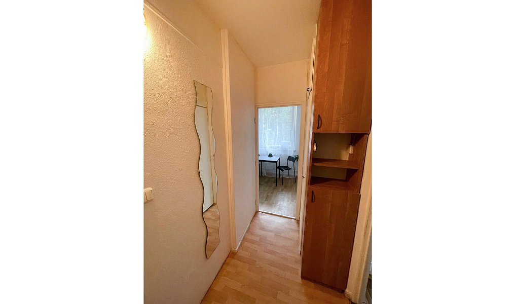 Prodej bytu 1+1 35 m², Brno – náhled fotky 6