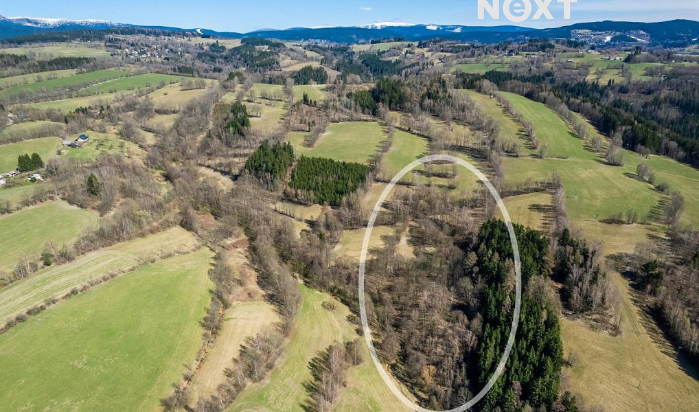 Prodej louky 6 913 m², Poniklá – náhled fotky 3