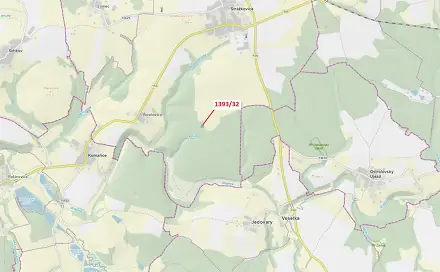 Dražba lesa 1 388 m², Strážkovice