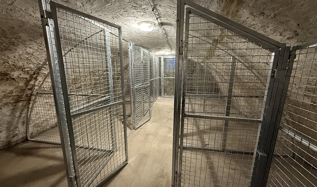 Prodej bytu 3+kk 65 m², Třebechovice pod Orebem – náhled fotky 14