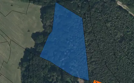Prodej lesa 1 239 m², Sruby, okres Ústí nad Orlicí