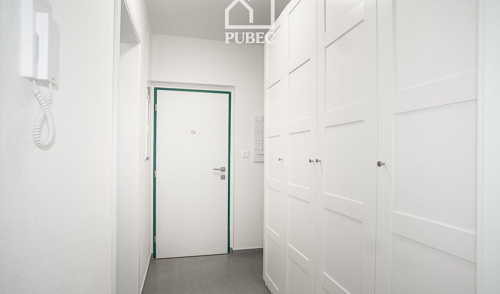 Pronájem bytu 1+kk 30 m², Plzeň – náhled fotky 10