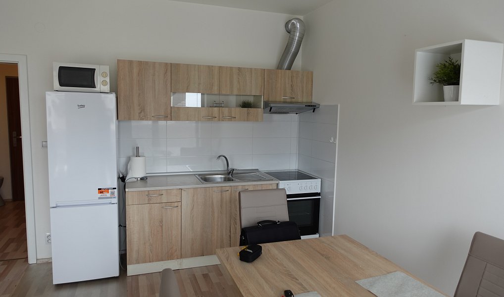 Pronájem bytu 1+kk 45 m², Brno – náhled fotky 4
