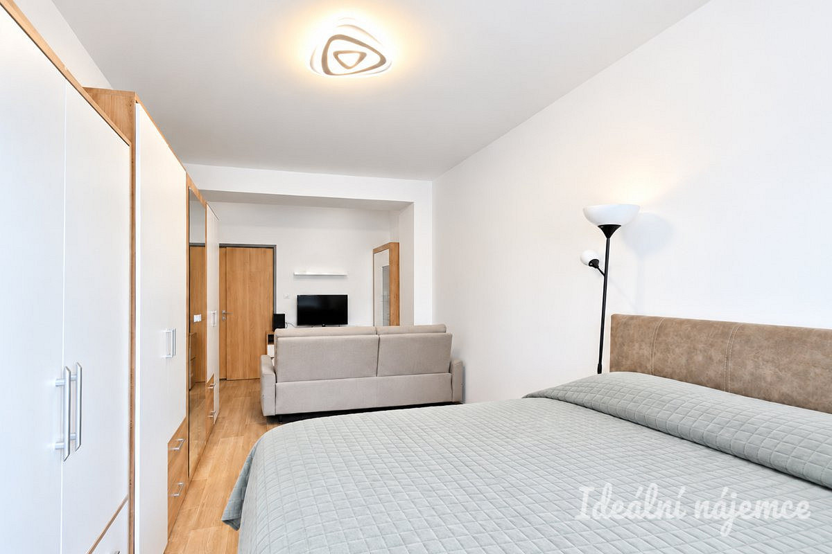 Pronájem bytu 2+1 54 m² – fotografie 5