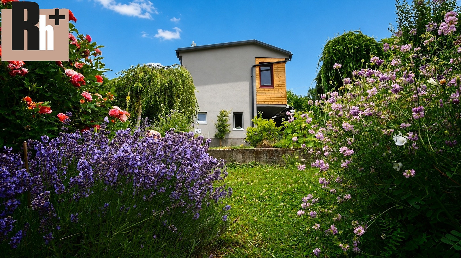Prodej chaty/chalupy 32 m² s pozemkem 346 m² – fotografie 2