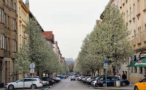 Pronájem výrobních prostor 33 m², Eliášova, Praha 6 - Bubeneč