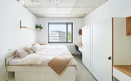 Pronájem bytu 1+kk 24 m², Dornych, Brno - Trnitá