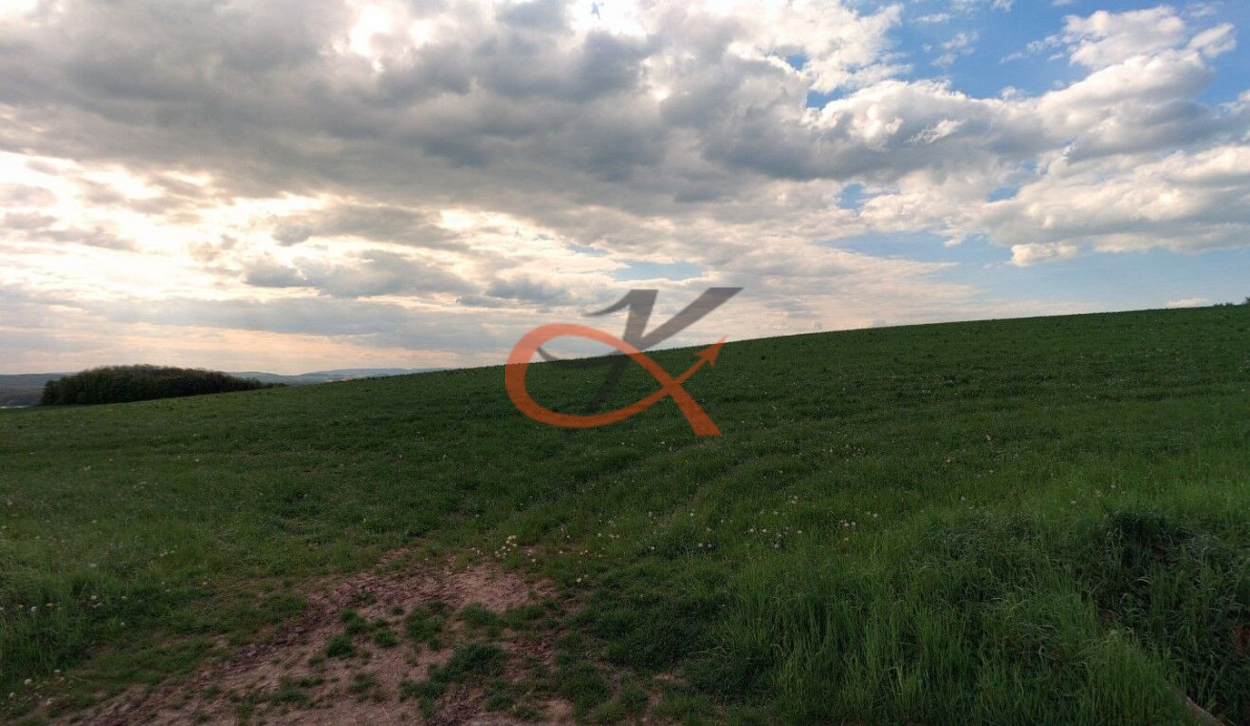 Prodej pole 2 192 m² – fotografie 3