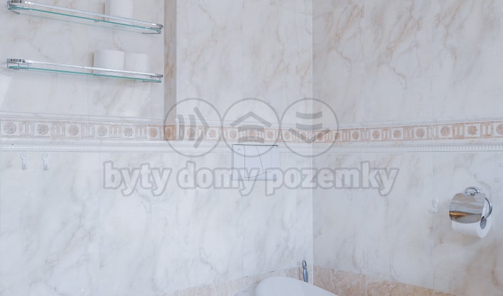 Pronájem bytu 5+1 160 m², Praha – náhled fotky 10