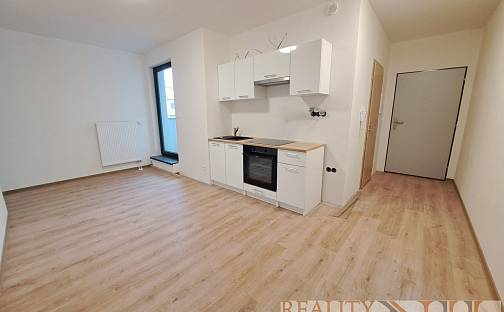 Pronájem bytu 2+kk 60 m², Poděbradova, Plzeň - Jižní Předměstí