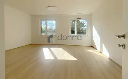 Pronájem bytu 1+kk 39 m², Na Viktorce, Praha 3 - Žižkov