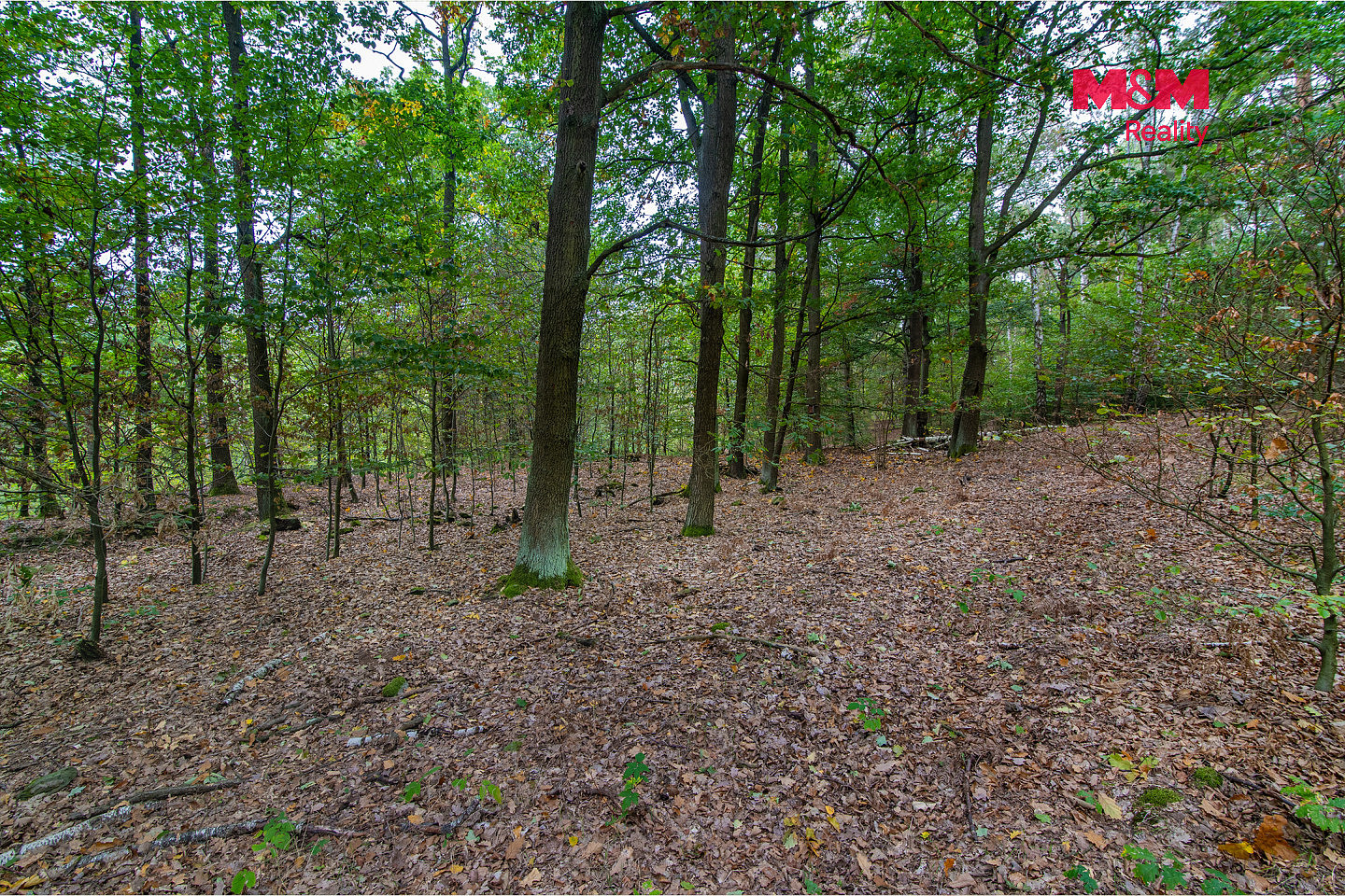 Prodej pole 51 974 m² – fotografie 3