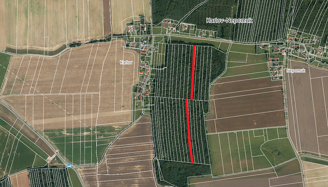 Prodej lesa 6 005 m²