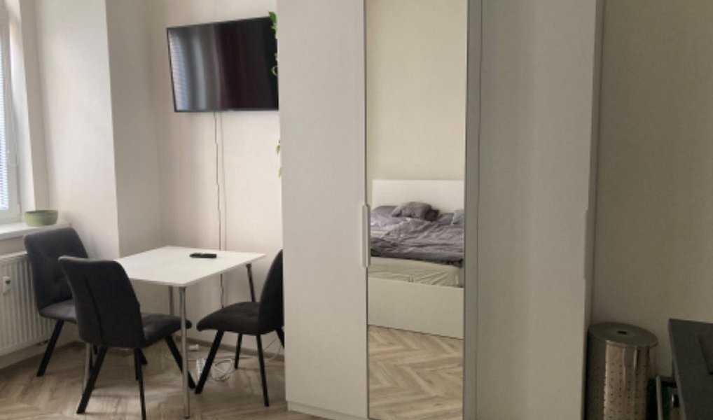 Pronájem bytu 1+kk 27 m², Brno – náhled fotky 3