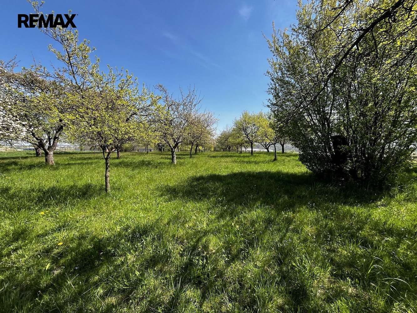 Prodej pozemku 7 559 m² – fotografie 4