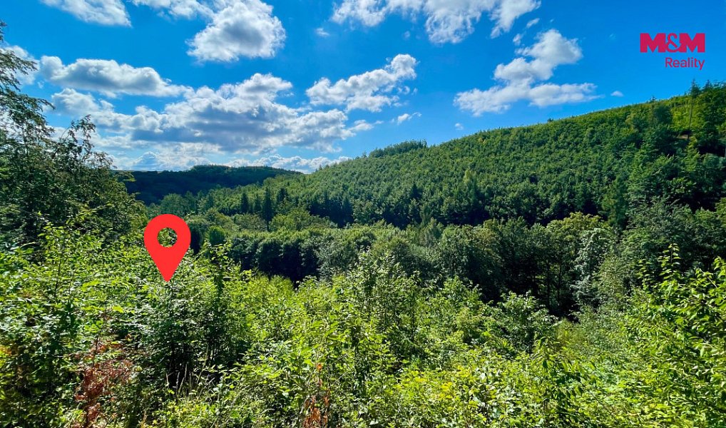 Prodej lesa 5 050 m², Hranice – náhled fotky 2