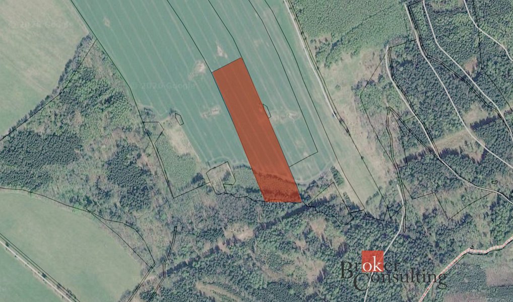 Prodej pole 43 309 m², Nová Ves – náhled fotky 6